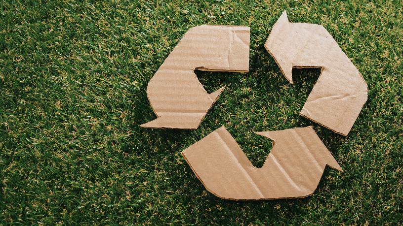 Ao destacar reciclagem e reaproveitamento do plástico corrugado, Elias Assum Sabbag Junior aponta caminhos práticos para uma produção mais sustentável.